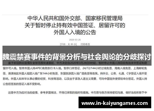 魏震禁赛事件的背景分析与社会舆论的分歧探讨